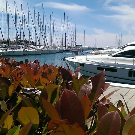 Boutique Nautica - & Wellness, Private Parking, Pet Friendly 4* Novigrad Istria